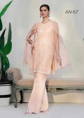 AIN | Embroidered Chiffon Ready To Wear | AN-67
