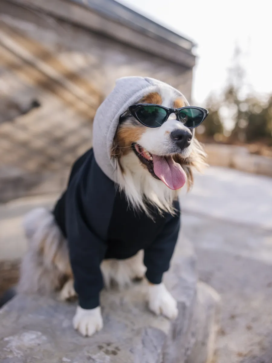 Bois-182 Hoodie