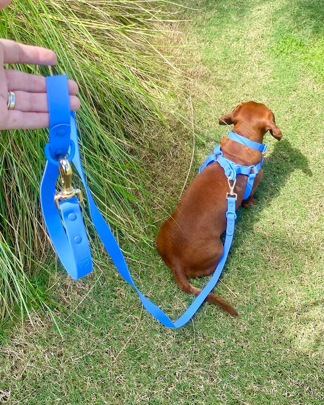 Cobalt Waterproof Dog Leash
