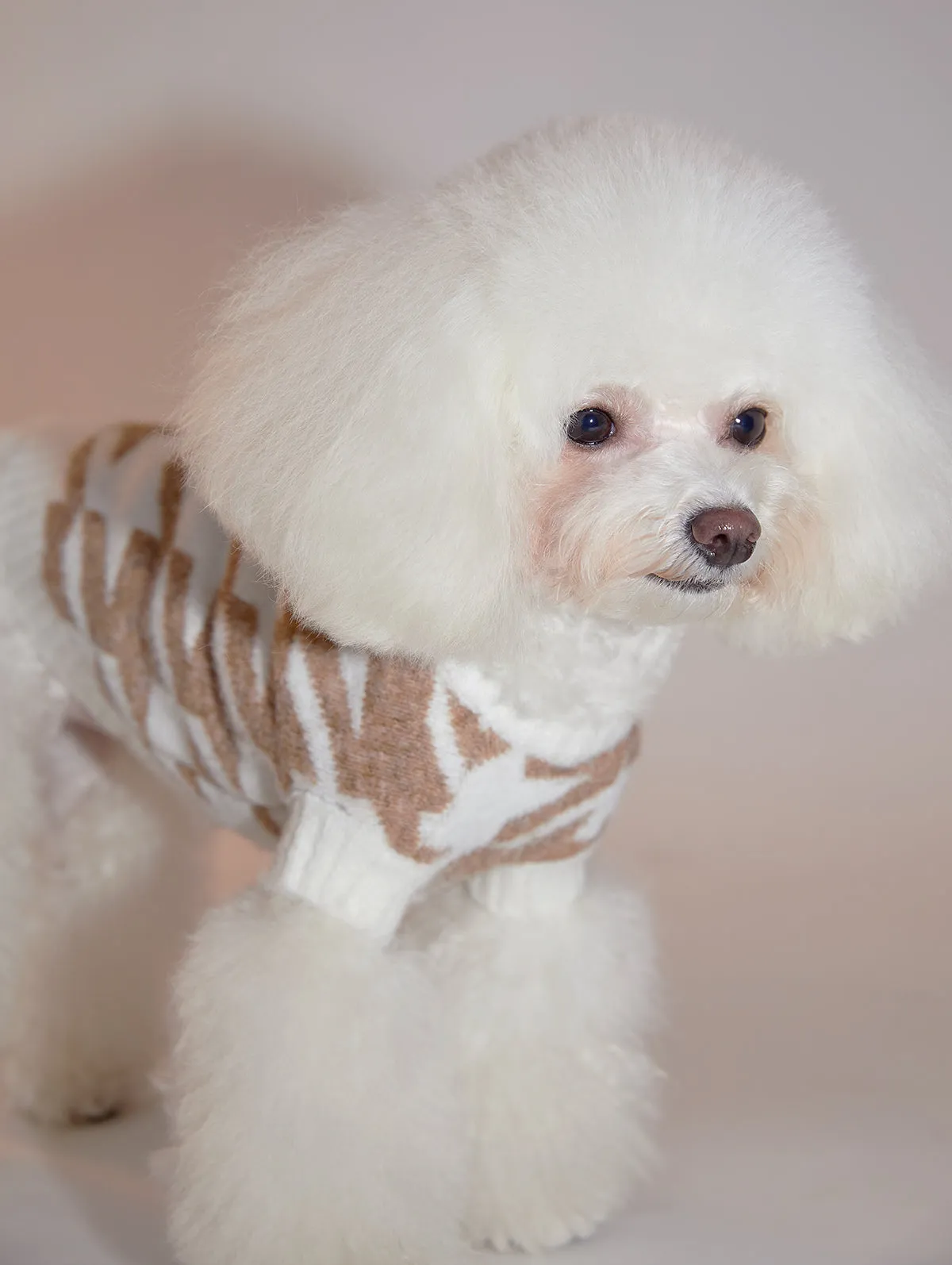 Houndstooth Jumper