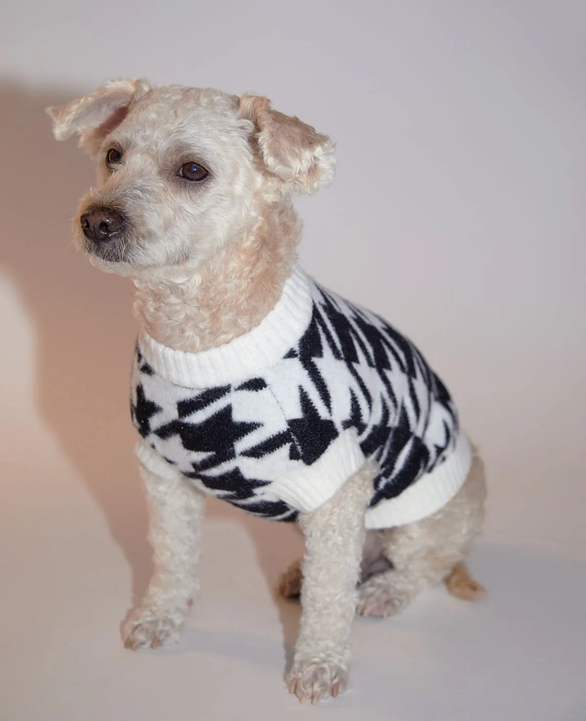 Houndstooth Jumper