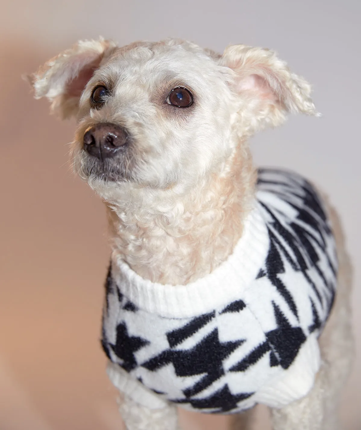 Houndstooth Jumper