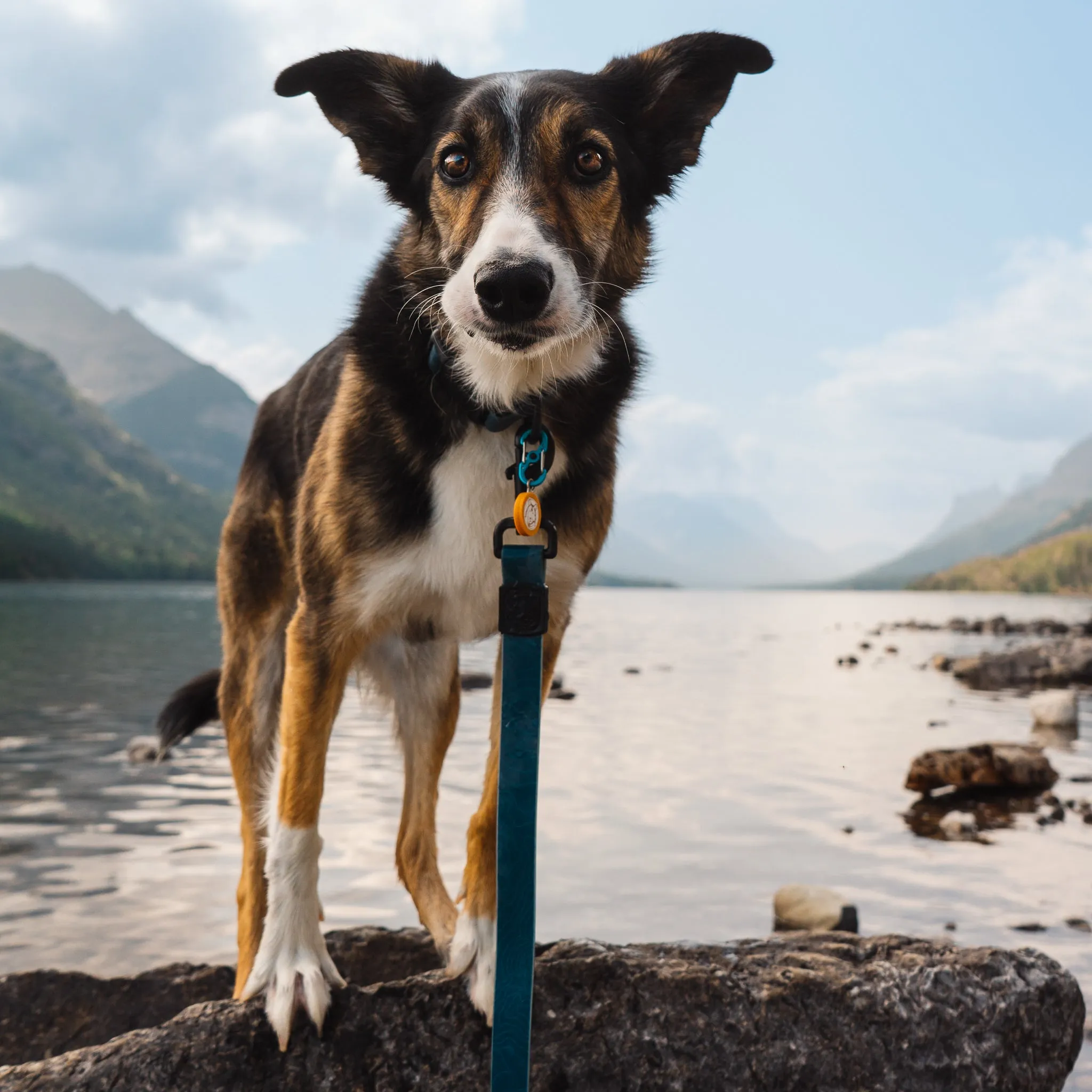 Pacific Blue Waterproof Leash