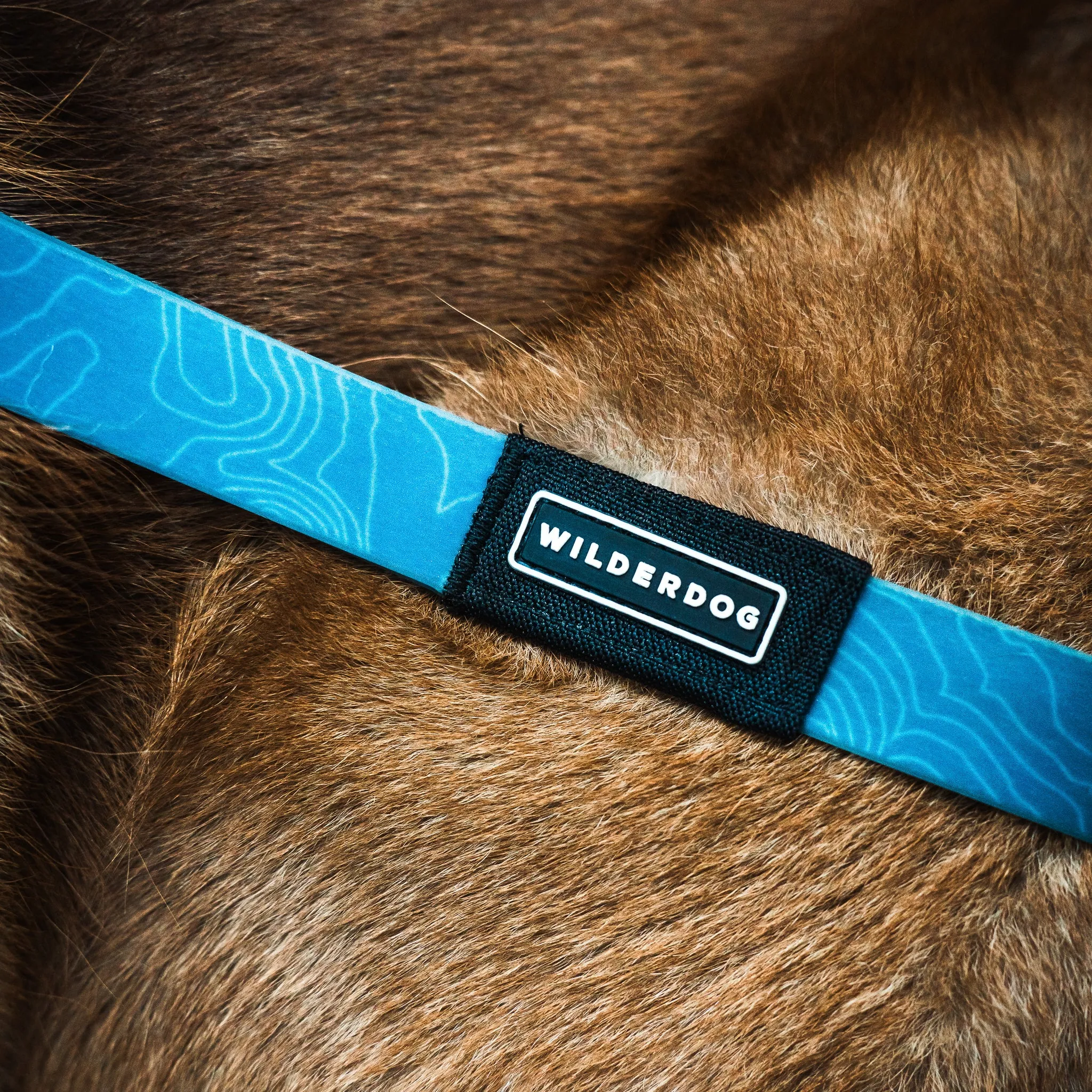 Pacific Blue Waterproof Leash