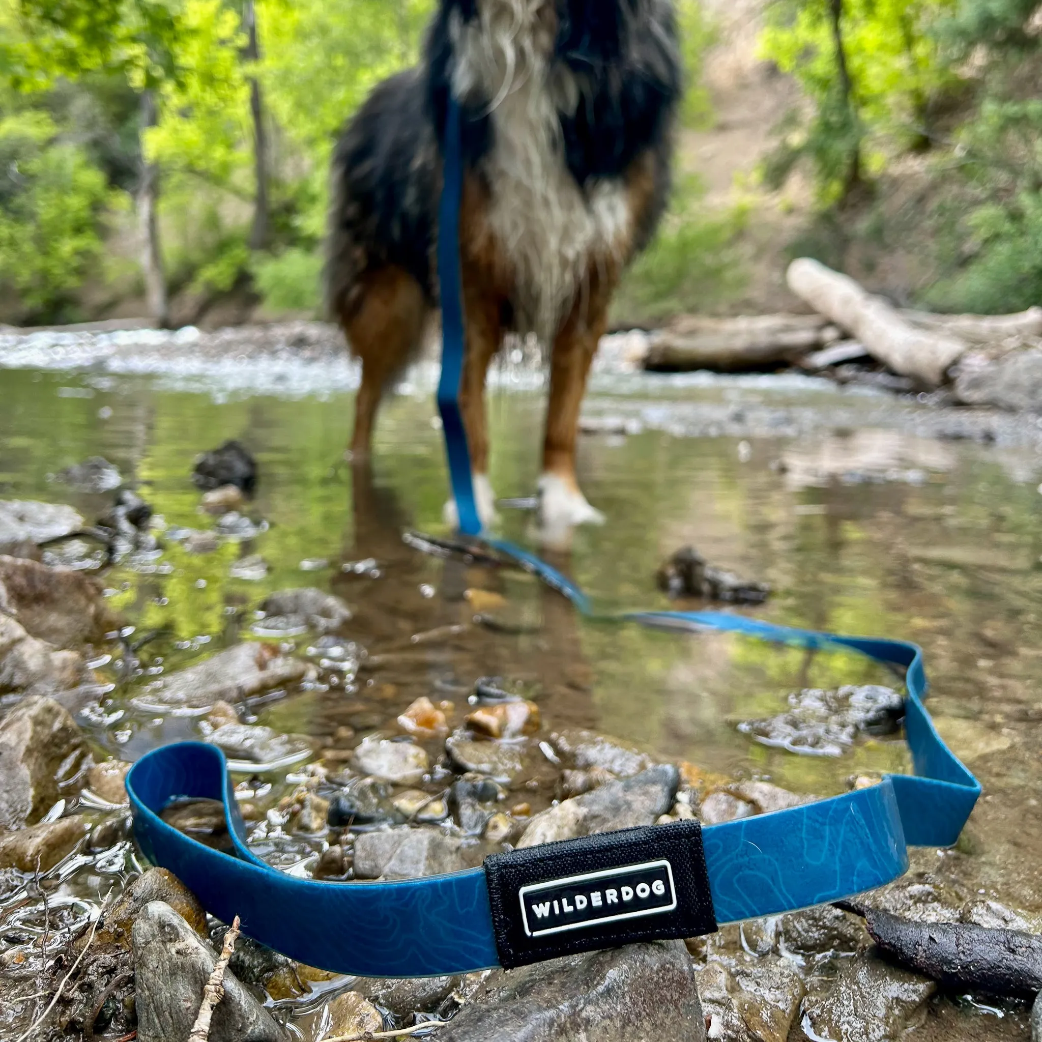Pacific Blue Waterproof Leash